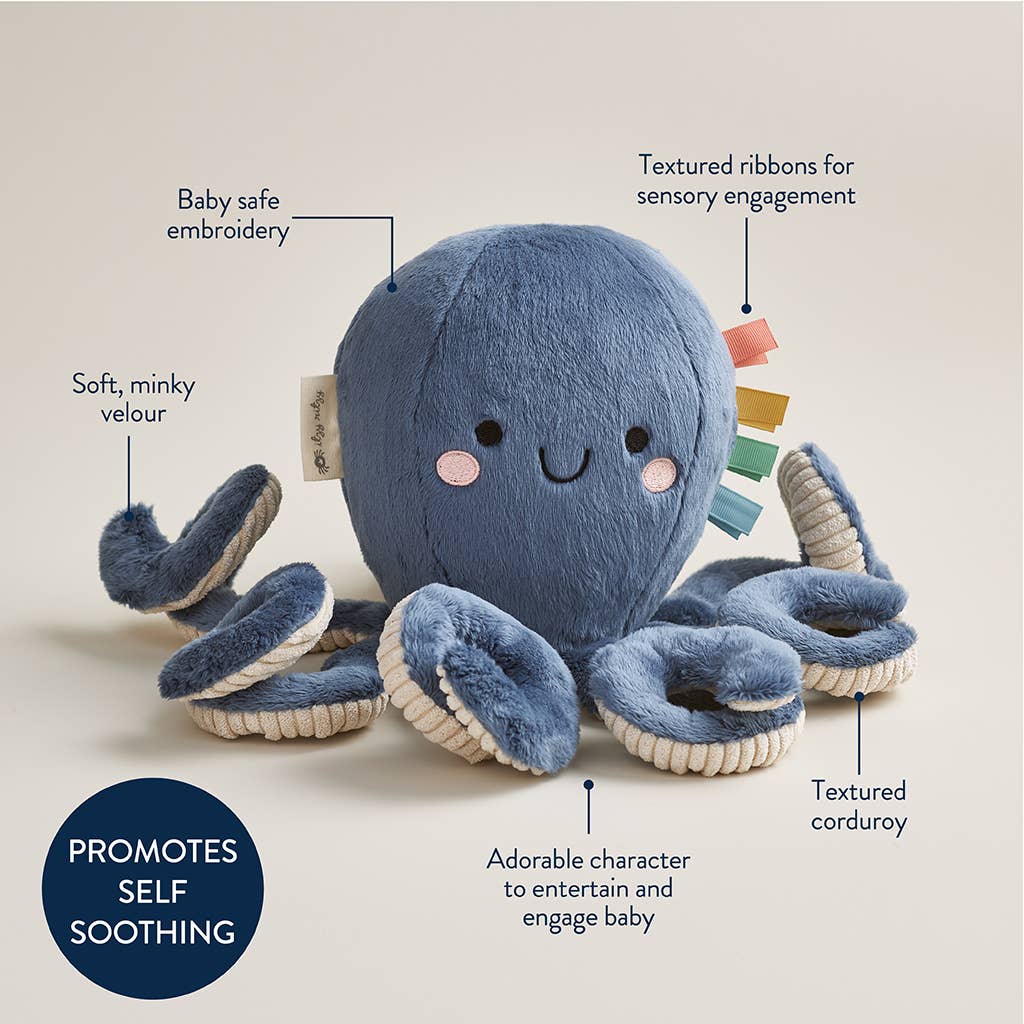 *NEW* Sweetie Snuggles™ Plush: Goose