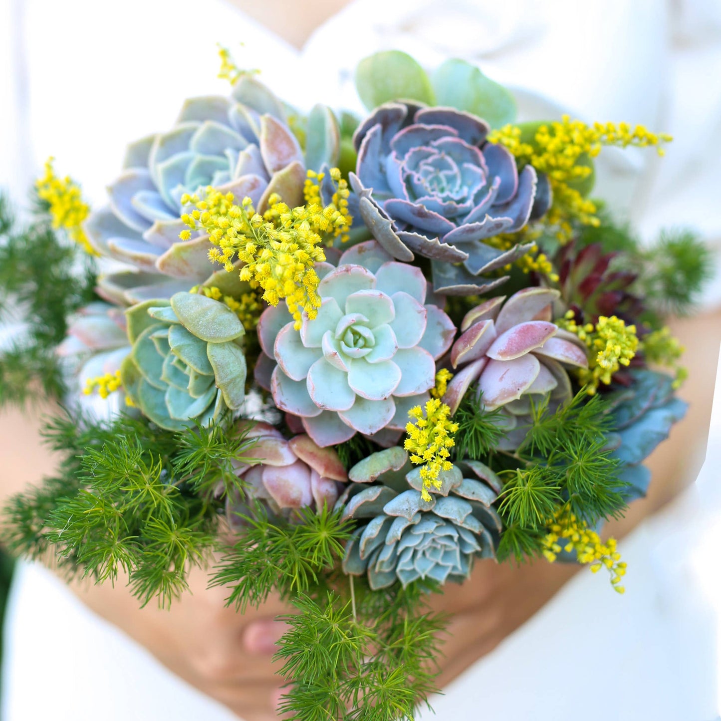 Rosette Succulent Tray - 64 Live Bulk Succulents - 8 Species